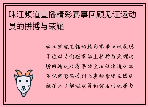 珠江频道直播精彩赛事回顾见证运动员的拼搏与荣耀